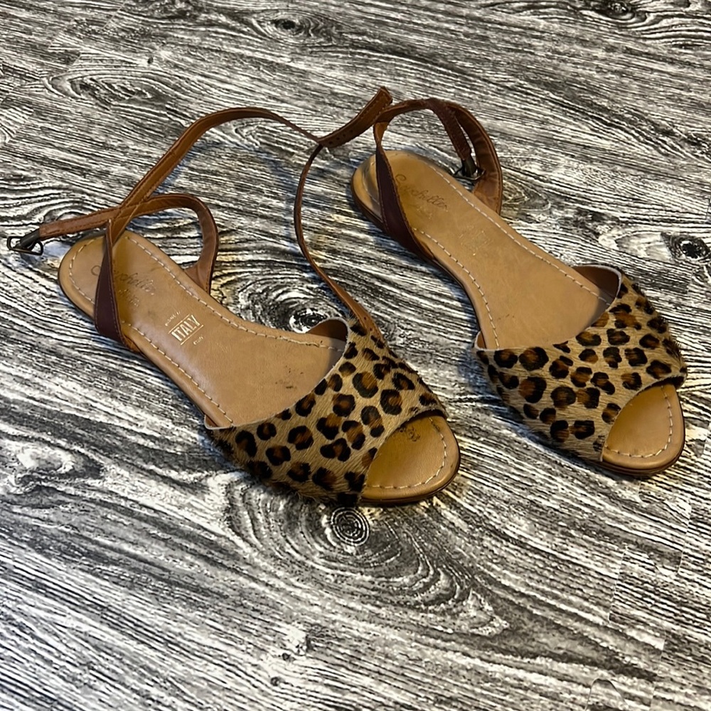 Seychelles leopard print ankle strap flat sandal